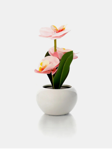 Home Deco And More keraminis vazonas su orchidėja ir dirbtine LED lempa