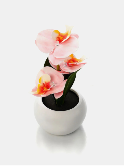Home Deco And More keraminis vazonas su orchidėja ir dirbtine LED lempa 1