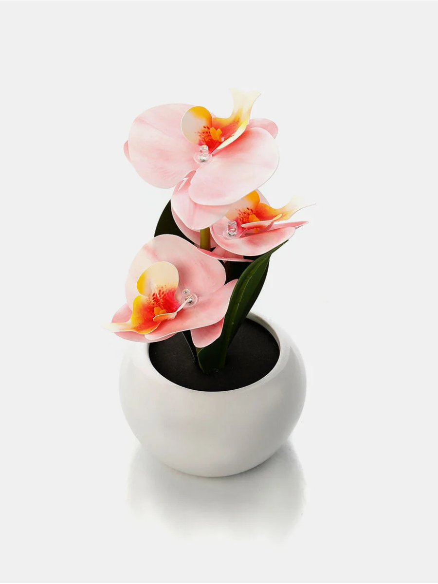Home Deco And More keraminis vazonas su orchidėja ir dirbtine LED lempa 1
